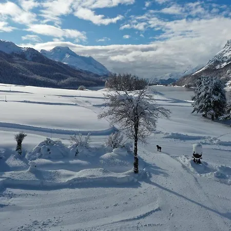 Bellavista 4* סילבפלנה